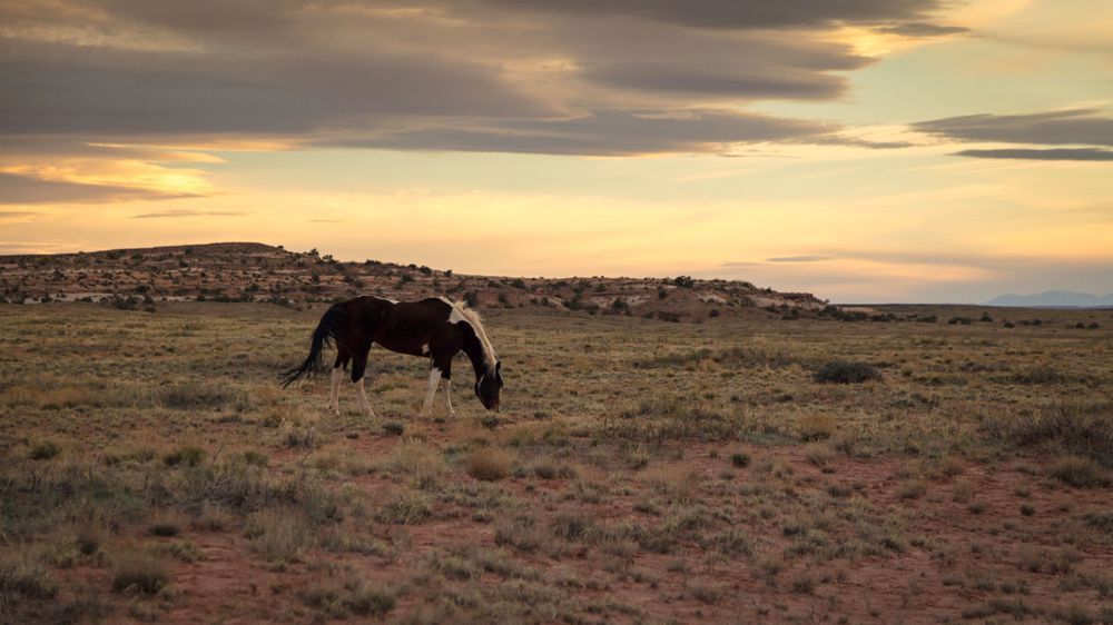 0 Y4 A2520 Photography Art | Captured Adventure Photography