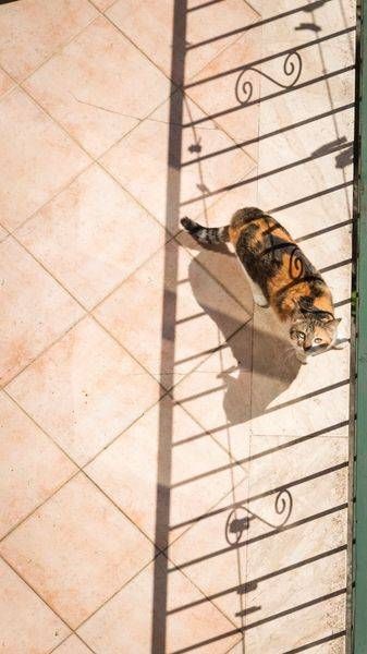 0 Y4 A3274 Photography Art | Captured Adventure Photography