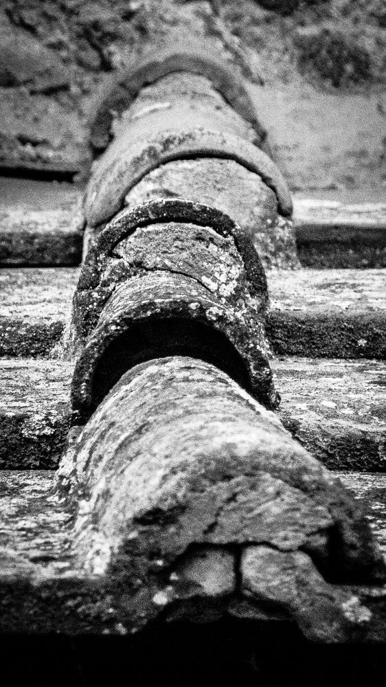 0 Y4 A3625 Photography Art | Captured Adventure Photography