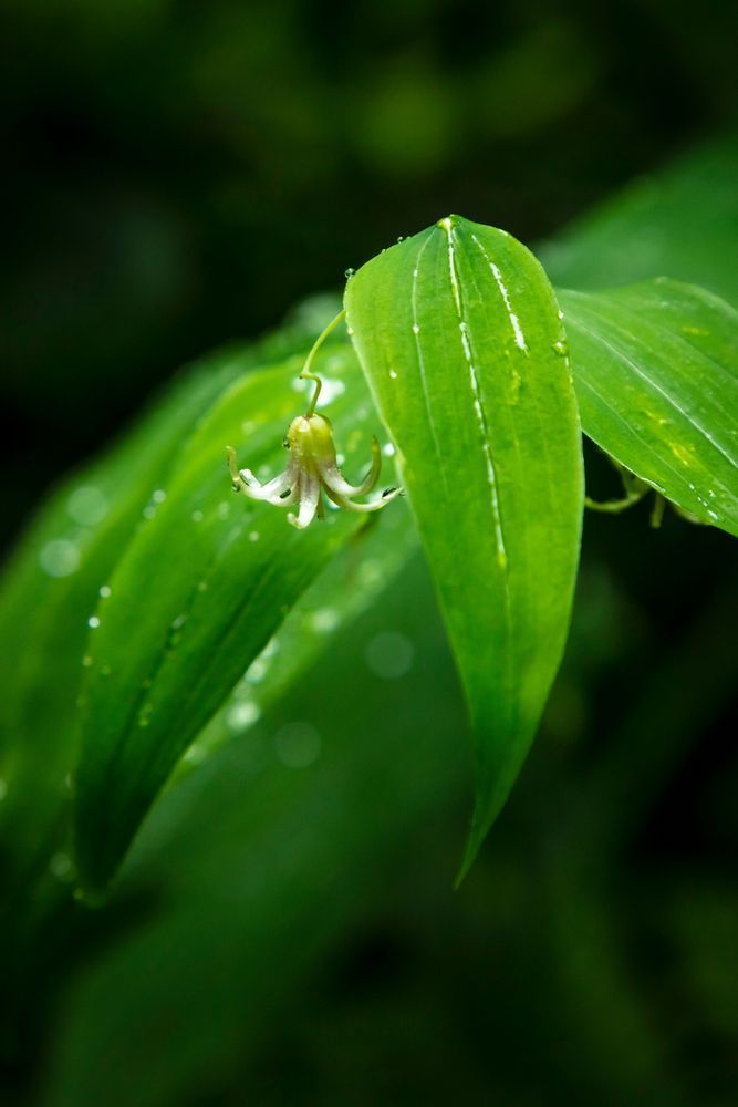 0 Y4 A3533 Photography Art | Captured Adventure Photography