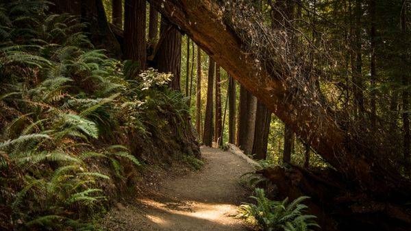 0 Y4 A0202 Photography Art | Captured Adventure Photography