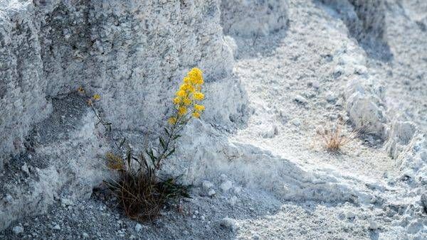 0 Y4 A0275 Photography Art | Captured Adventure Photography