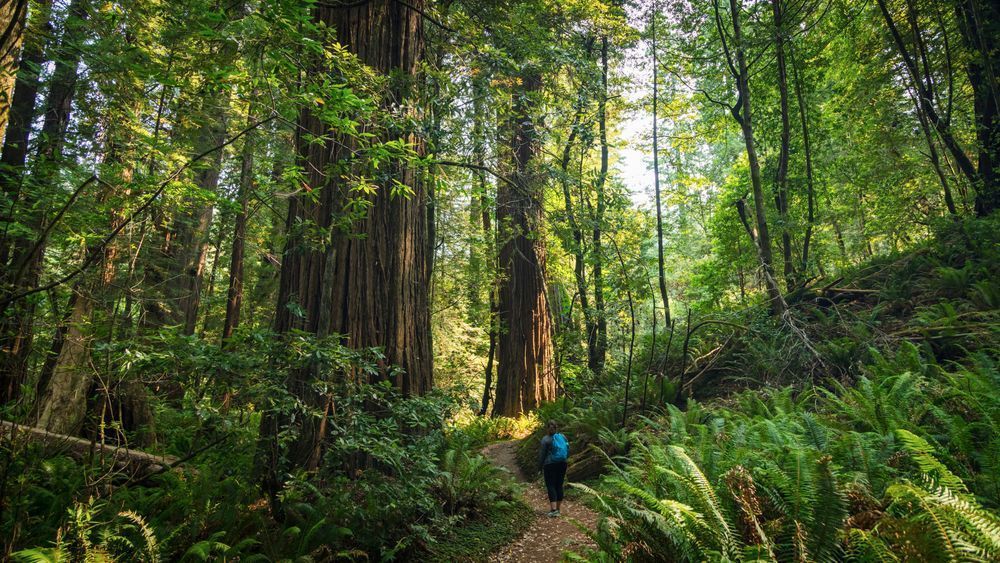 0 Y4 A0117 Photography Art | Captured Adventure Photography