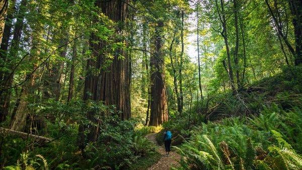 0 Y4 A0117 Photography Art | Captured Adventure Photography