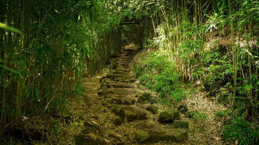 0 Y4 A0012 Photography Art | Captured Adventure Photography