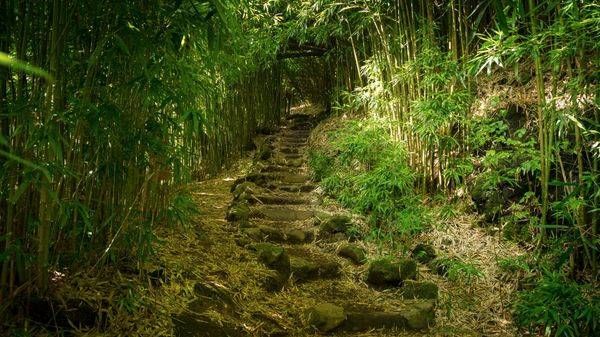 0 Y4 A0012 Photography Art | Captured Adventure Photography