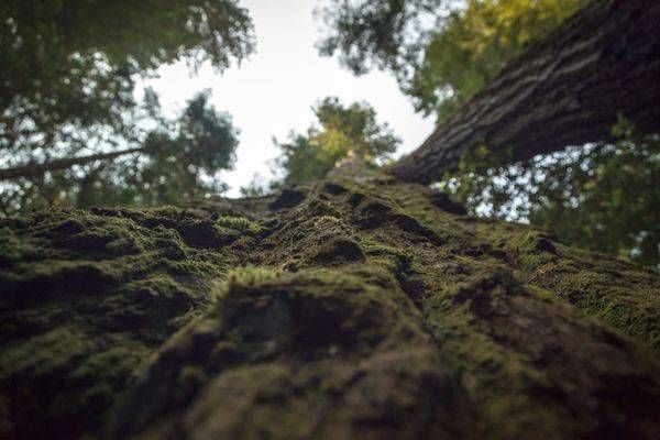 0 Y4 A0022 Photography Art | Captured Adventure Photography