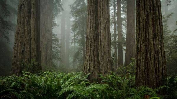 0 Y4 A0721 Photography Art | Captured Adventure Photography