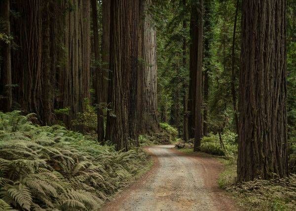 0 Y4 A0592 Photography Art | Captured Adventure Photography