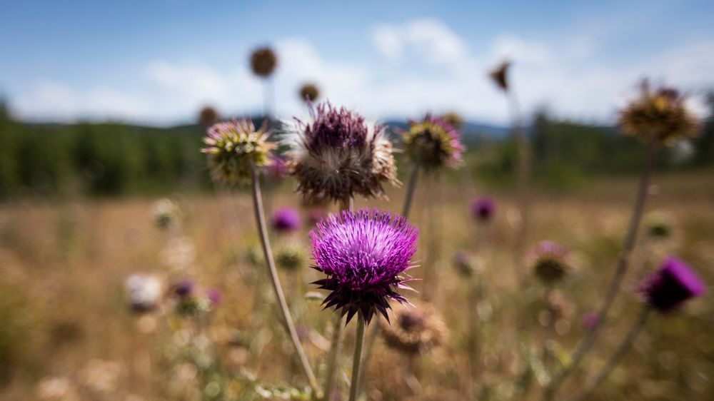 0 Y4 A0839 Photography Art | Captured Adventure Photography