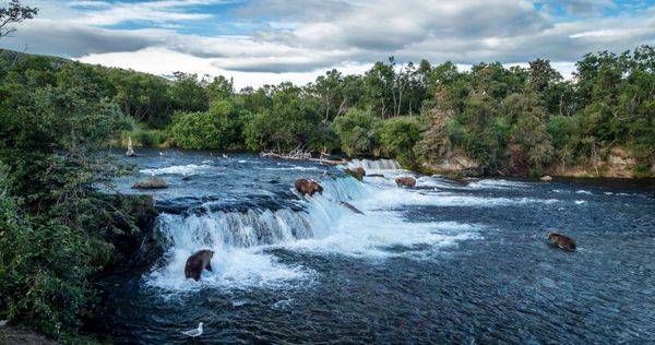 Katmai National Park 2 Photography Art | Captured Adventure Photography