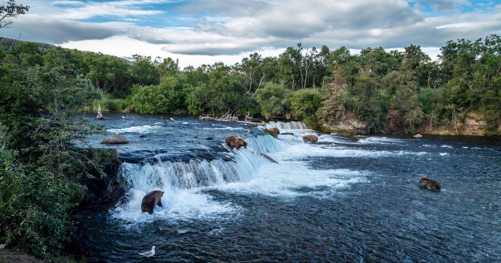 Katmai National Park 2 Photography Art | Captured Adventure Photography