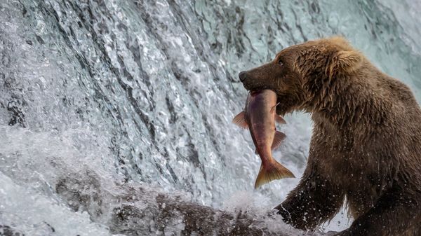 Katmai