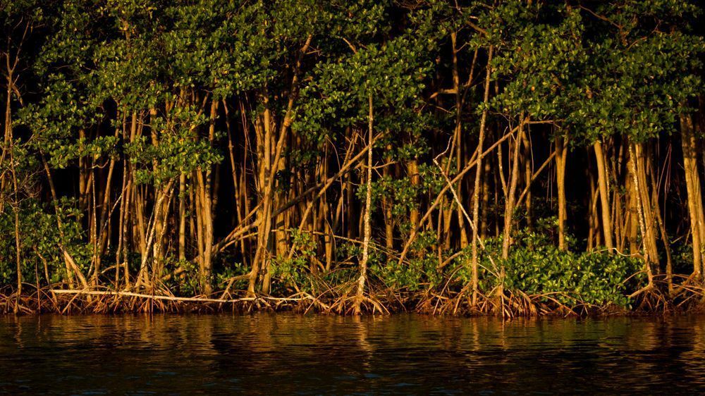 Img 5615 Photography Art | Captured Adventure Photography