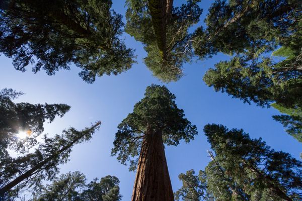 Kings Canyon