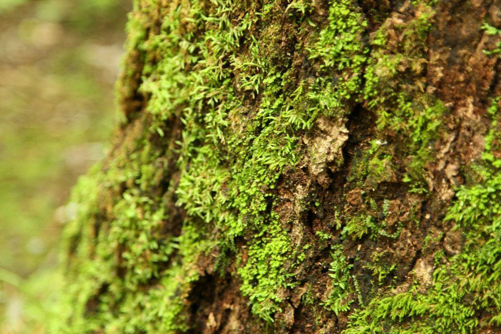 Img 6945 Photography Art | Captured Adventure Photography
