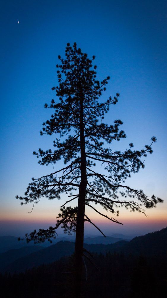 Img 7209 Photography Art | Captured Adventure Photography