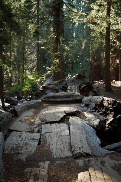 Img 7108 Photography Art | Captured Adventure Photography