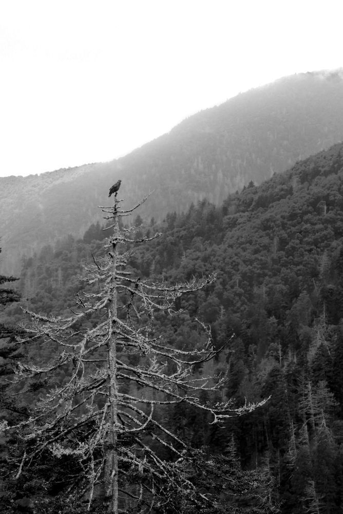 Img 71888990 Photography Art | Captured Adventure Photography