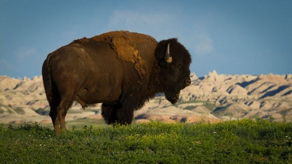 Badlands
