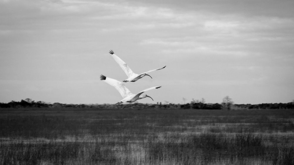 Img 1390 Photography Art | Captured Adventure Photography
