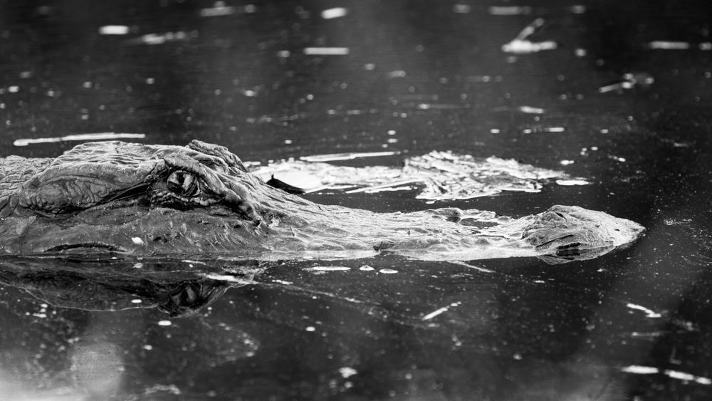 Img 1536 Photography Art | Captured Adventure Photography