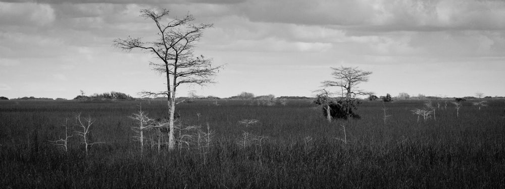 Img 1987 1 Photography Art | Captured Adventure Photography
