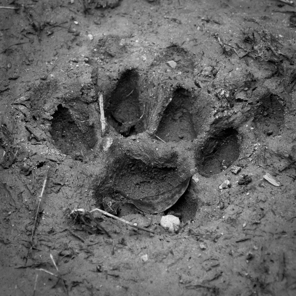Img 3499 Photography Art | Captured Adventure Photography