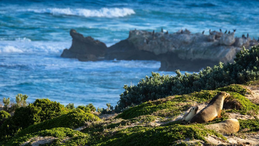 S00 A9347 Photography Art | Captured Adventure Photography