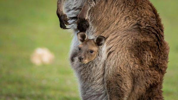S00 A8243 Photography Art | Captured Adventure Photography