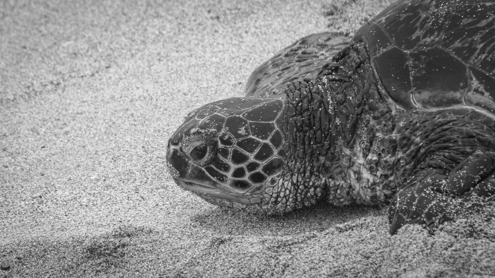 S00 A8789 Photography Art | Captured Adventure Photography