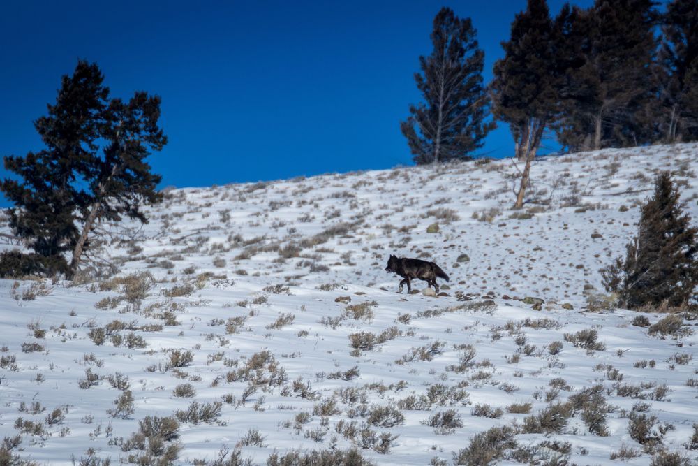 S00 A8468 Photography Art | Captured Adventure Photography