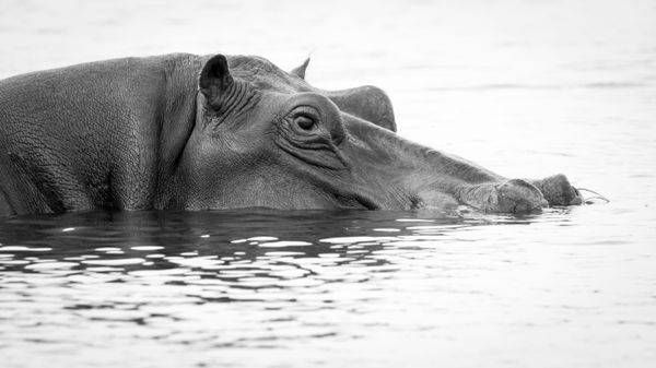 S00 A8834 Photography Art | Captured Adventure Photography