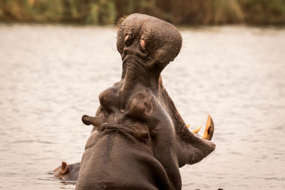 S00 A8896 Photography Art | Captured Adventure Photography