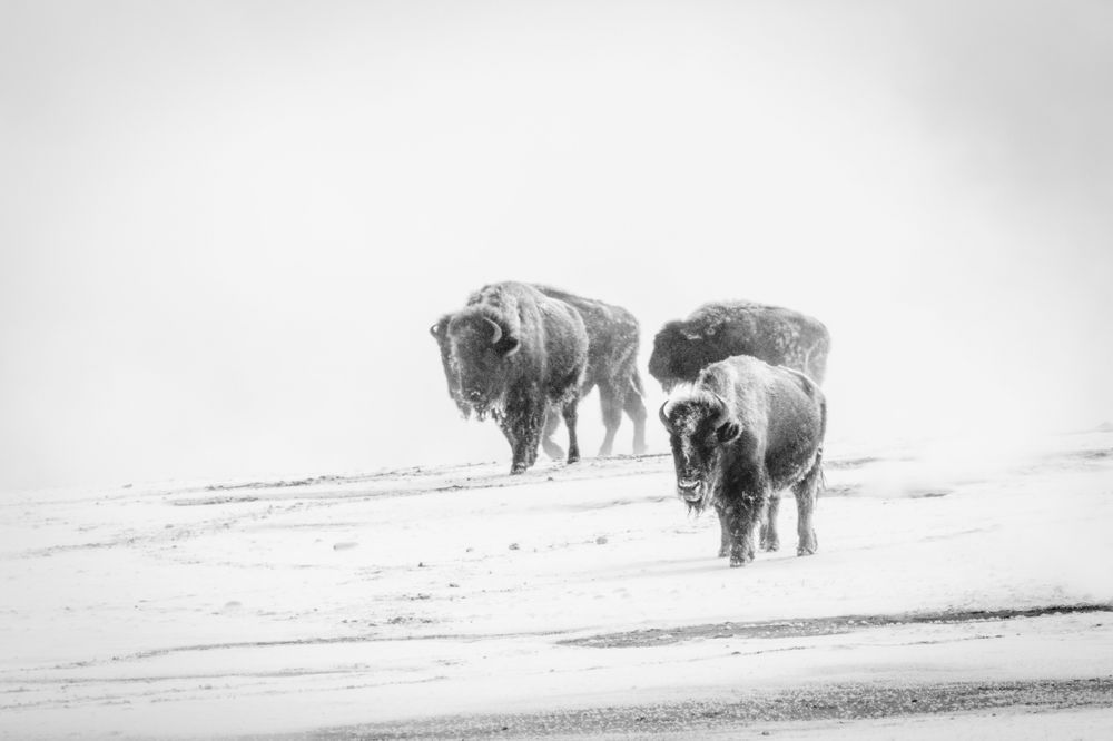 S00 A5017 Photography Art | Captured Adventure Photography