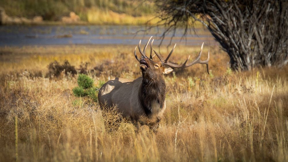 S00 A5633 Photography Art | Captured Adventure Photography