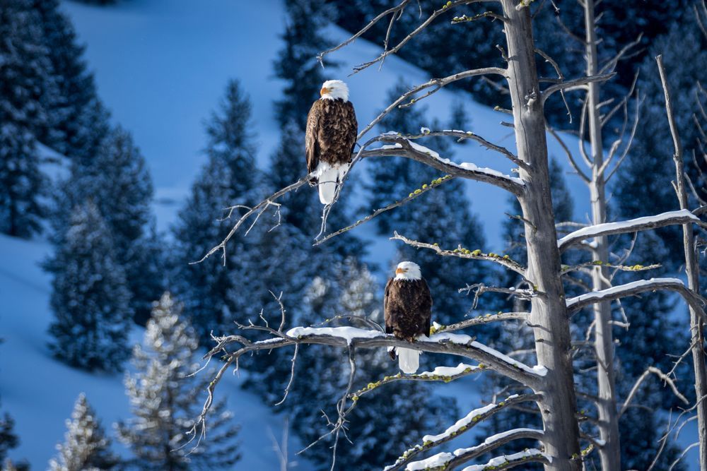 S00 A5517 Photography Art | Captured Adventure Photography