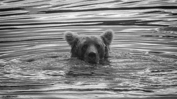 S00 A5986 1 Photography Art | Captured Adventure Photography