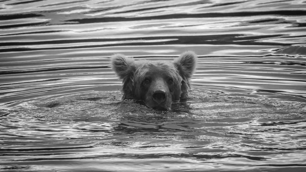 S00 A5986 1 Photography Art | Captured Adventure Photography
