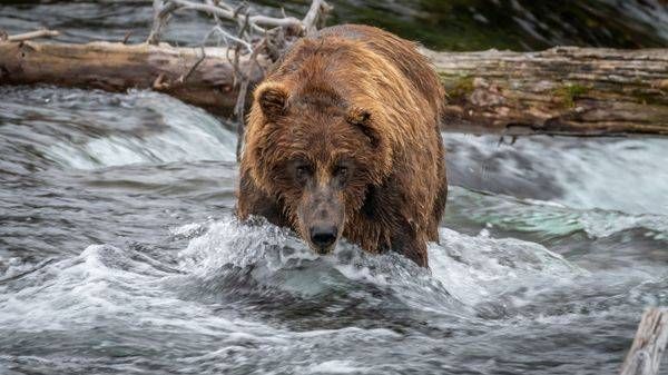 S00 A6487 Photography Art | Captured Adventure Photography