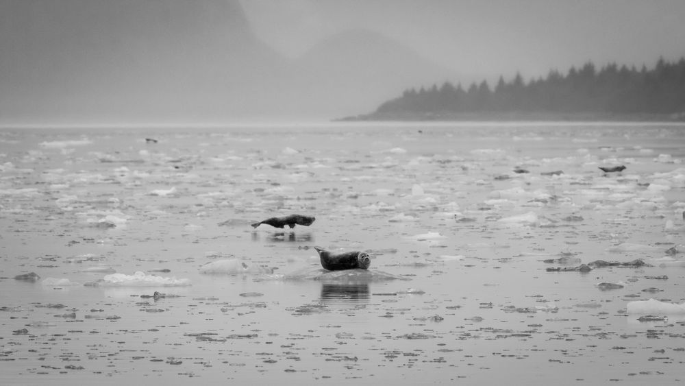 S00 A6908 Photography Art | Captured Adventure Photography