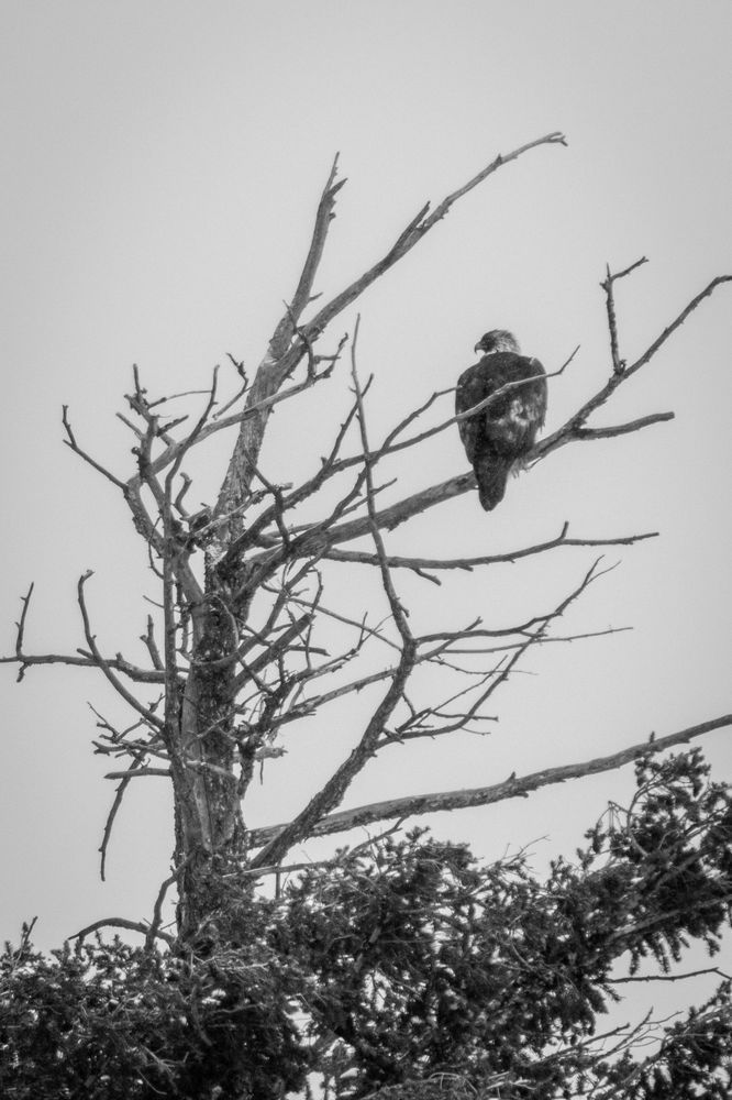 S00 A7168 Photography Art | Captured Adventure Photography