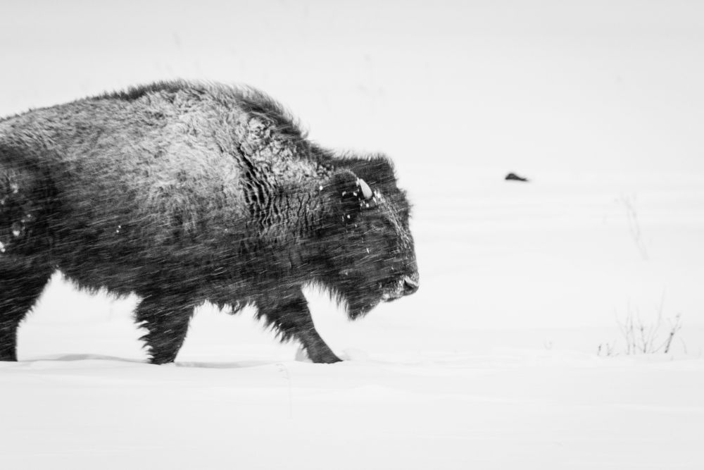 S00 A7717 1 Photography Art | Captured Adventure Photography