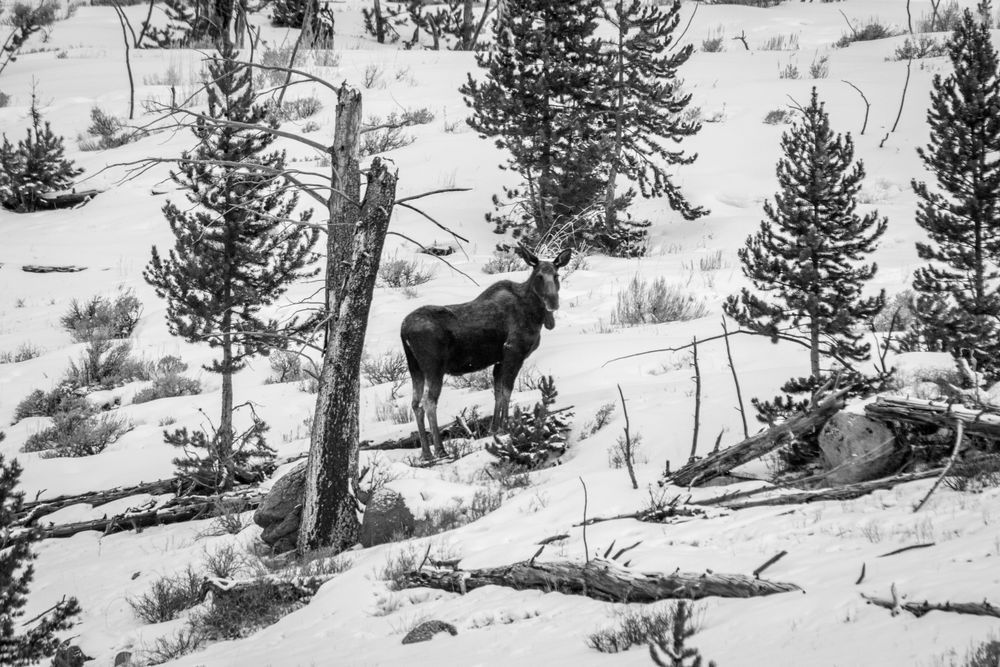 S00 A7912 1 Photography Art | Captured Adventure Photography