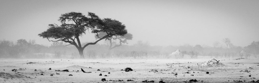 S00 A7971 Photography Art | Captured Adventure Photography