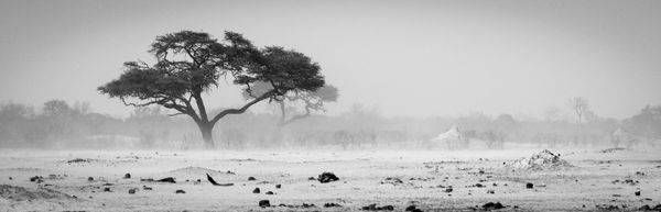S00 A7971 Photography Art | Captured Adventure Photography