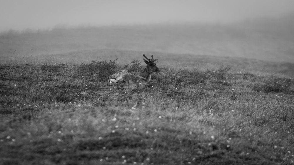 S00 A7998 1 Photography Art | Captured Adventure Photography