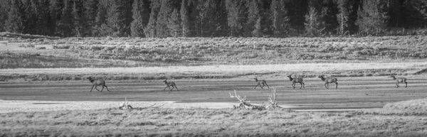 S00 A4641 Photography Art | Captured Adventure Photography