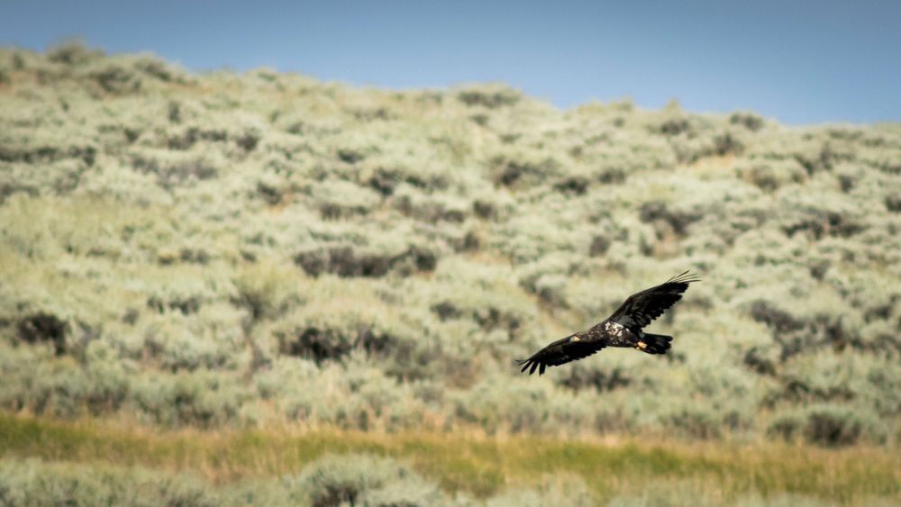 S00 A4422 Photography Art | Captured Adventure Photography