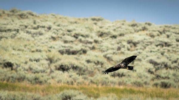 S00 A4422 Photography Art | Captured Adventure Photography